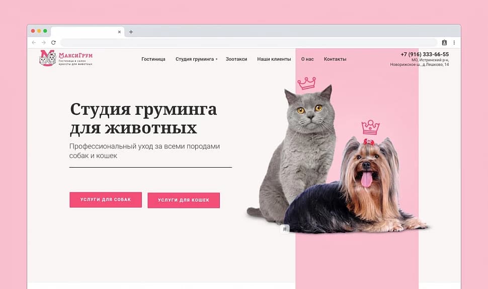 Студия груминга для собак и кошек