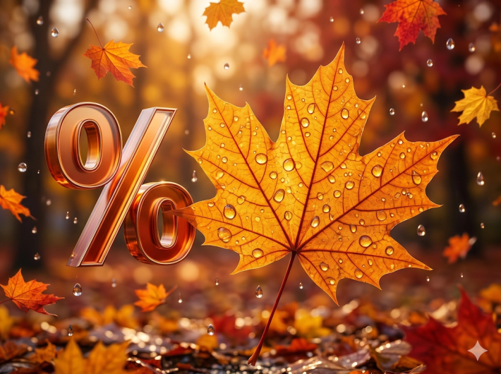 Скидка на покупку темы дизайна Easyweb: Seller