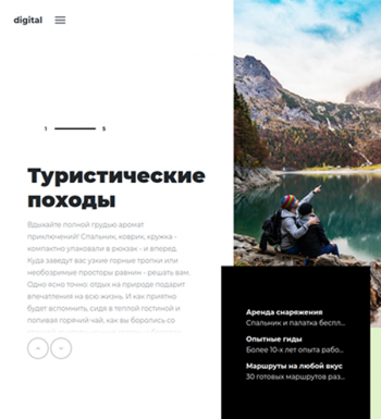 Купить шаблон Digital для Shop-Script со скидкой