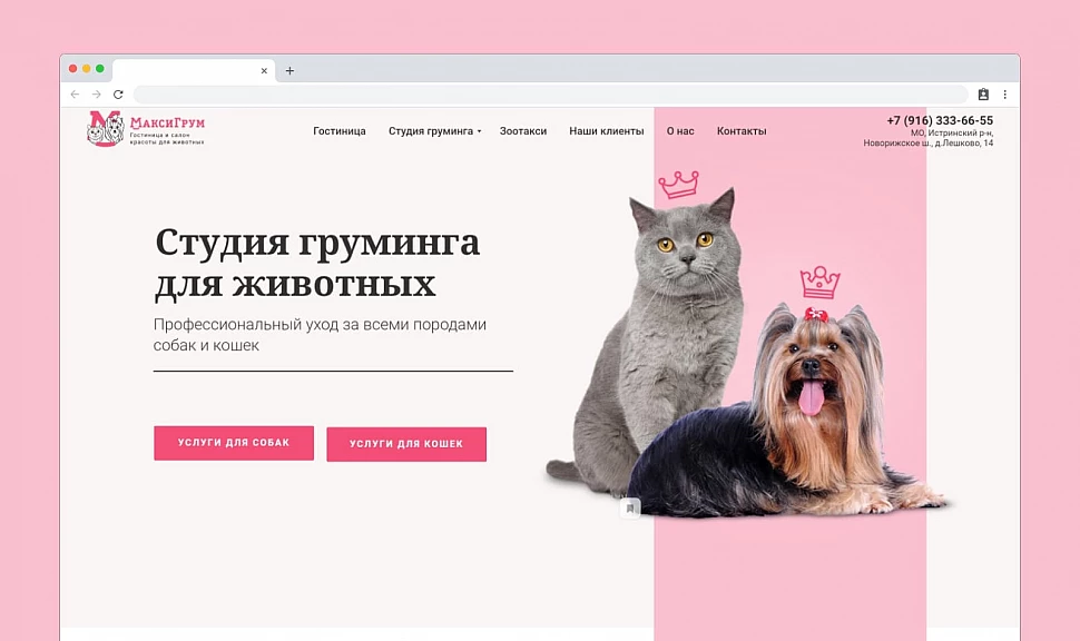 Студия груминга для собак и кошек