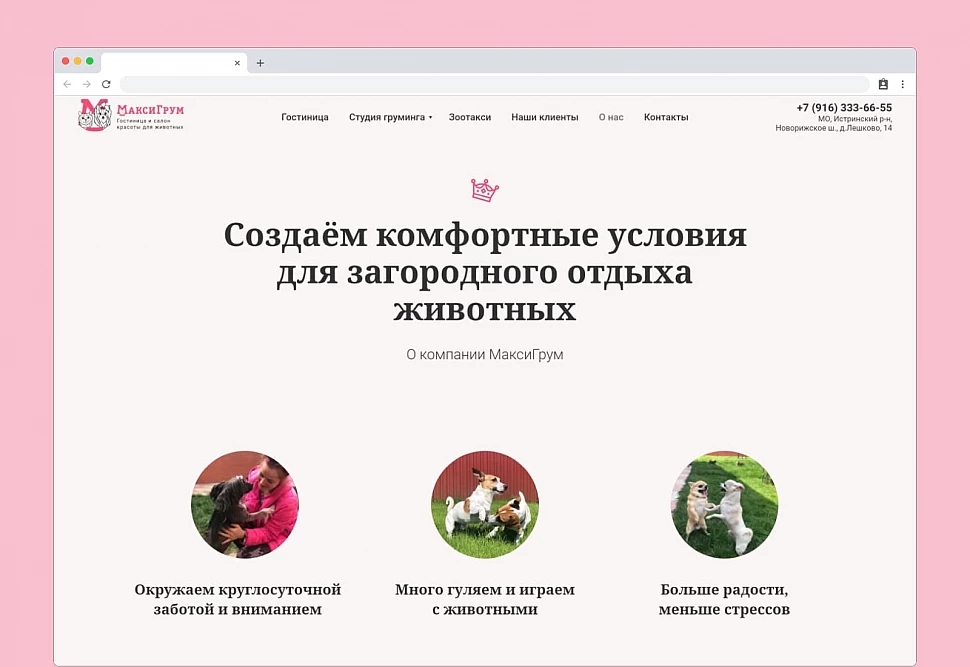 Студия груминга для собак и кошек